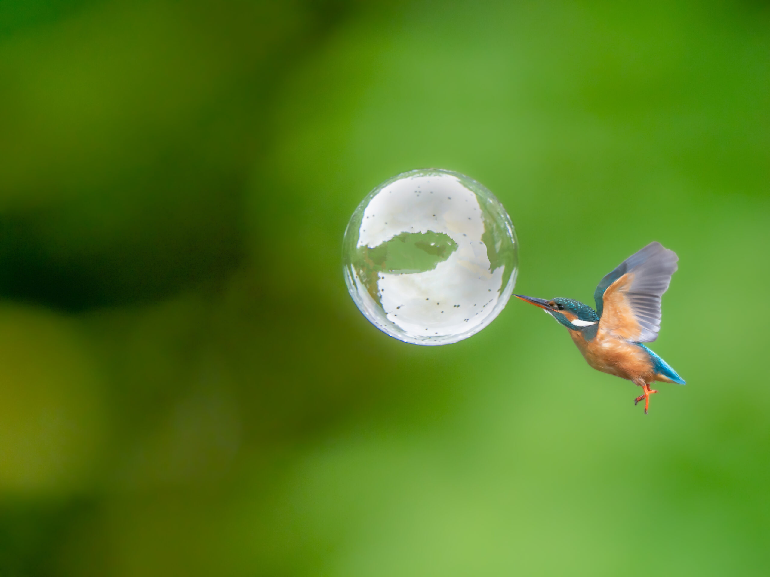 I Hate to Burst Your Bubble, But…