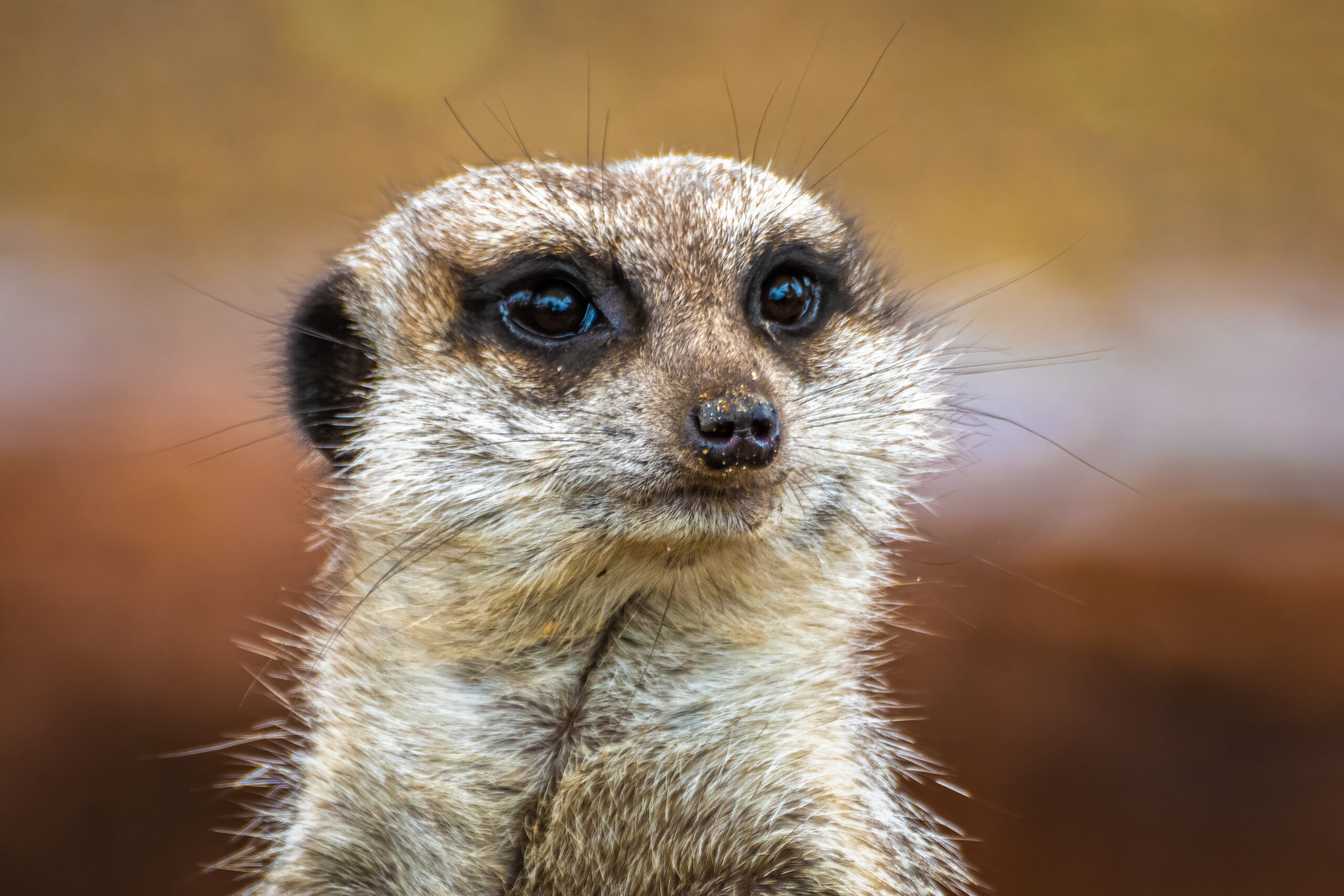 Whatchamacallit…Part One