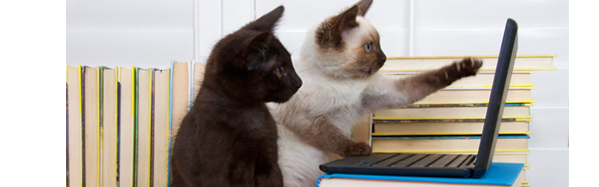 Lily’s Favorite Books